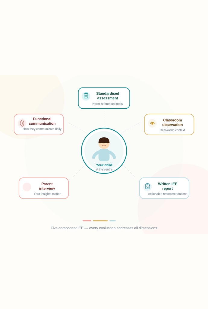 The five components of an IEE: standardized assessment, classroom observation, written IEE report, parent interview and functional communication